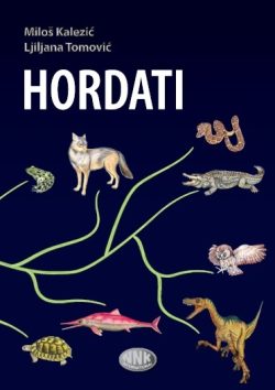 Hordati