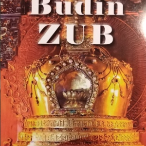 BUDIN ZUB