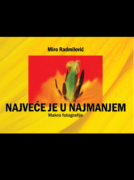 Najveće je u najmanjem srp